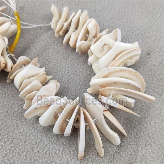 White Queen Shell Beads Slice Freeform