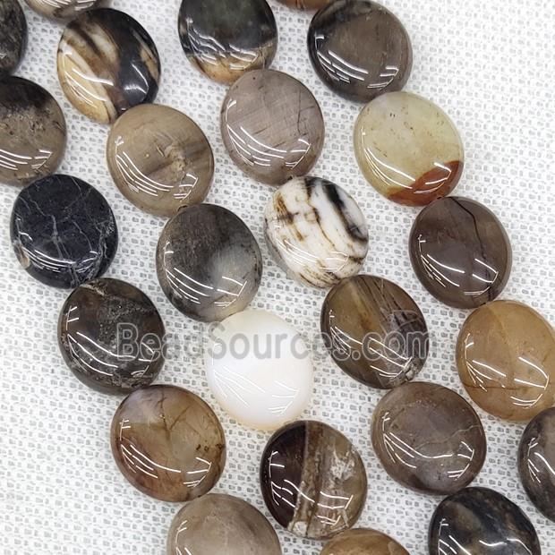 Natural Wood Petrified Jasper Oval Beads Oval