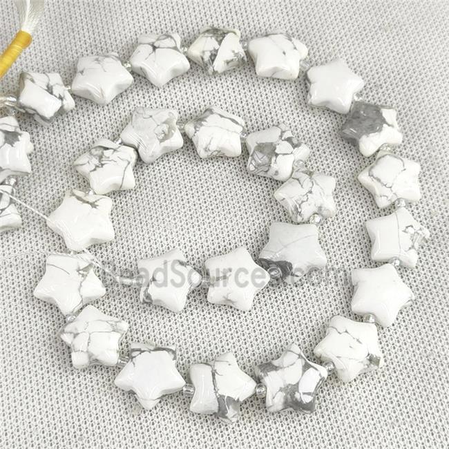 Natural White Howlite Turquoise Star Beads