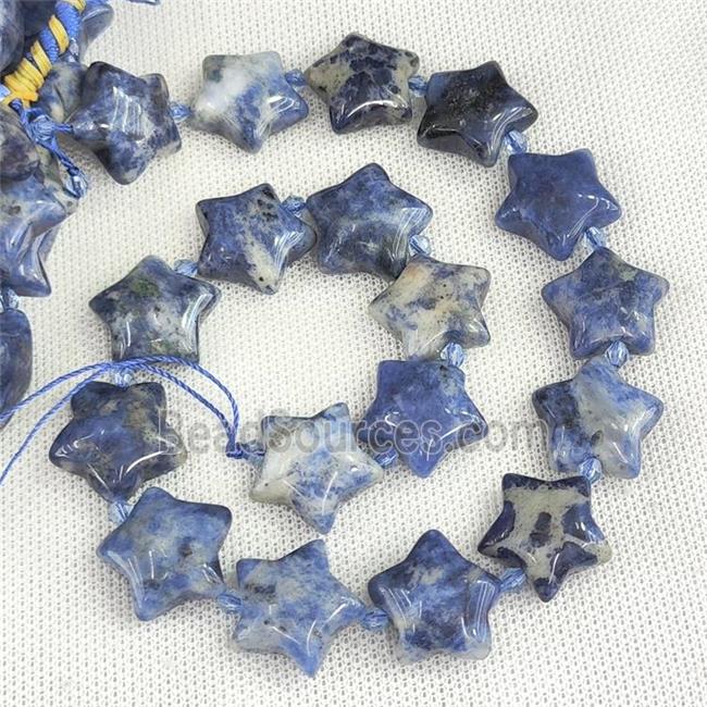 Natural Blue Sodalite Star Beads