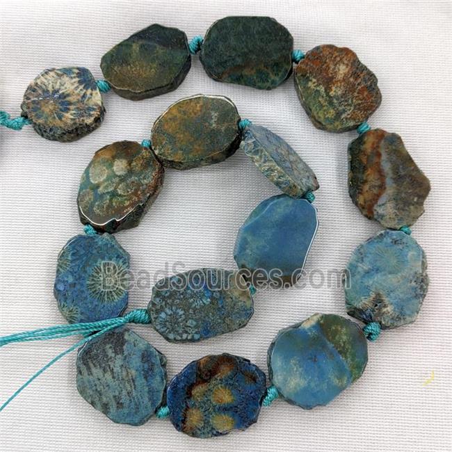 Natural Coral Fossil Slice Beads Blue Dye Freeform