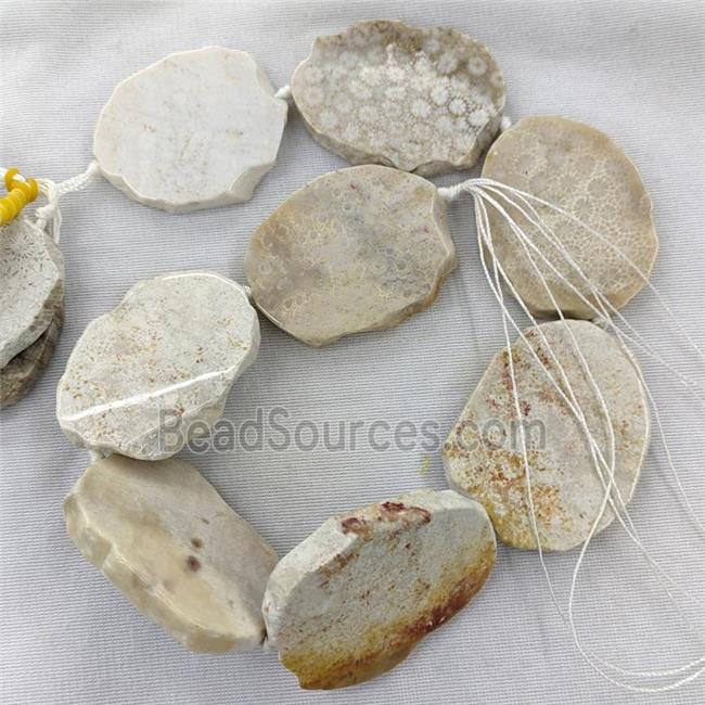 Natural Coral Fossil Slice Beads Freeform