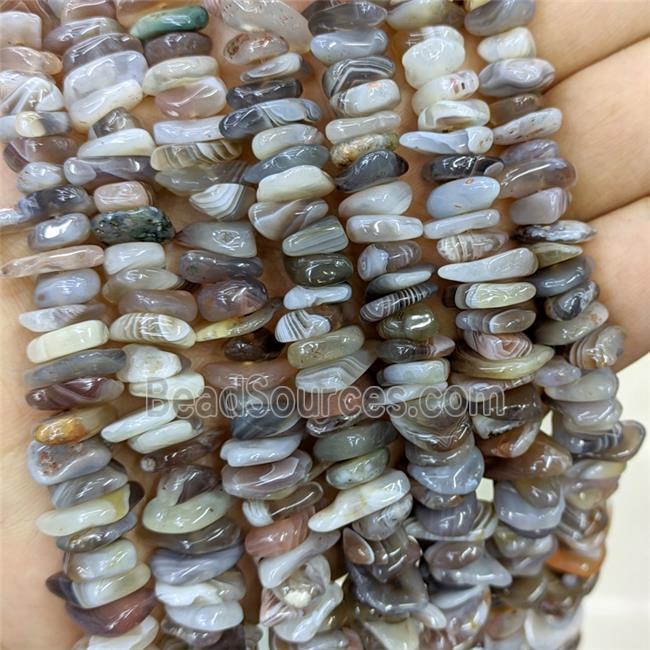 Natural Botswana Agate Beads Chips Freeform