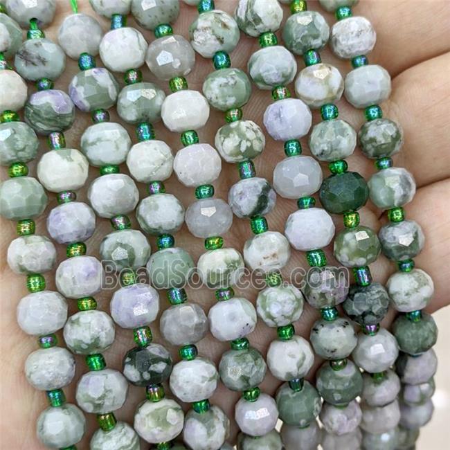 Natural Green Peace Jasper Beads Faceted Rondelle