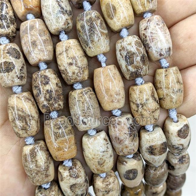 Natural Coral Fossil Barrel Beads