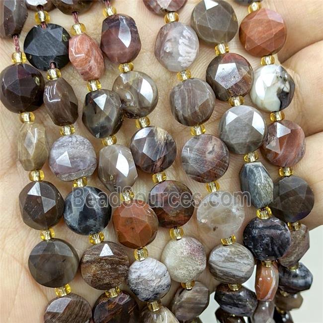 Natural Wood Petrified Jasper Beads Multicolor Faceted Coin