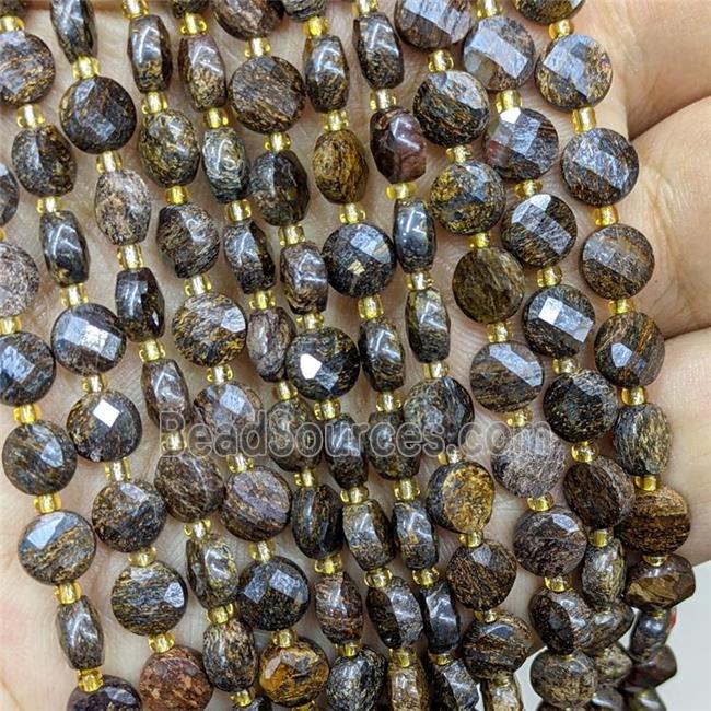 Natural Bronzite Beads Faceted Coin