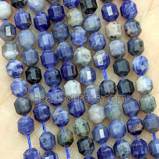 Natural Blue Sodalite Beads Prism