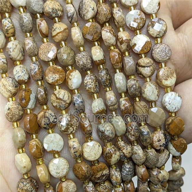 Natural Picture Jasper Beads Faceted Coin