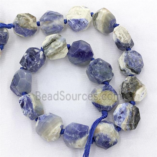 Natural Blue Sodalite Beads Faceted Coin