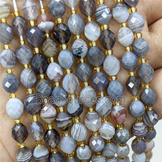 Natural Botswana Agate Beads Faceted Rice Gray