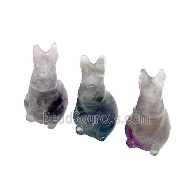 Fluorite Rabbit No Hole Multicolor