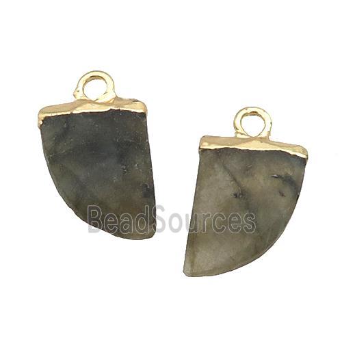 Natural Labradorite Pendant Horn Gold Plated