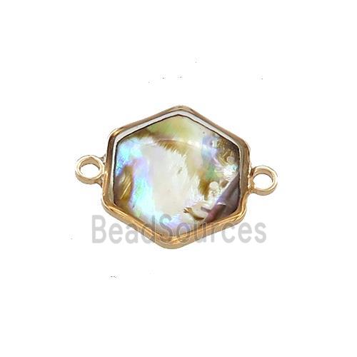 Abalone Shell Hexagon Connector Gold Plated