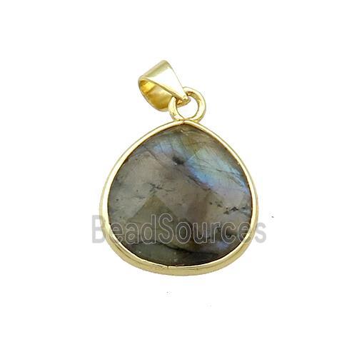 Natural Labradorite Teardrop Pendant Gold Plated