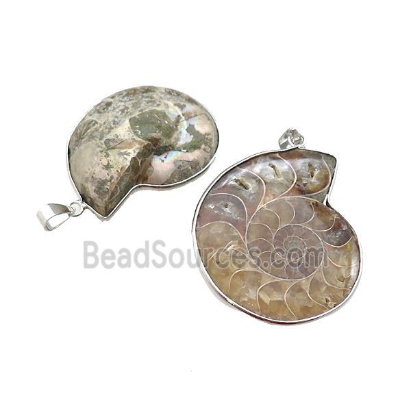 Natural Ammonite Fossil Pendant