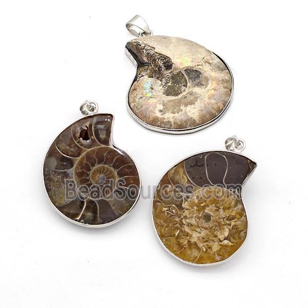 Ammonite Fossil Pendant