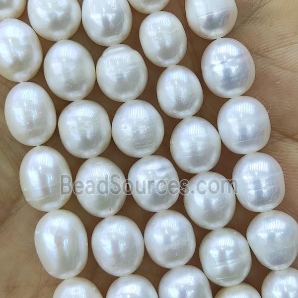 white Freshwater Pearl rice Beads