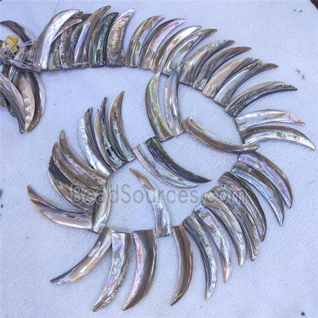 Abalone Shell Horn Beads Topdrilled