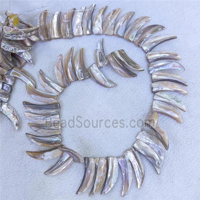 Abalone Shell Horn Beads Topdrilled