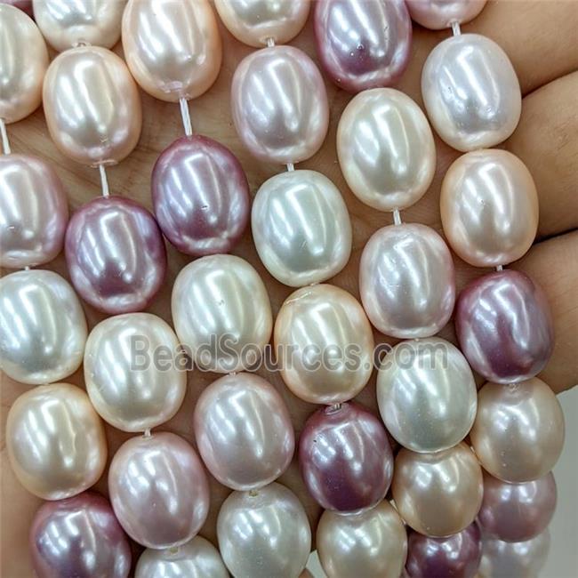 Baroque Style Pearlized Shell Beads Barrel Mixed Color