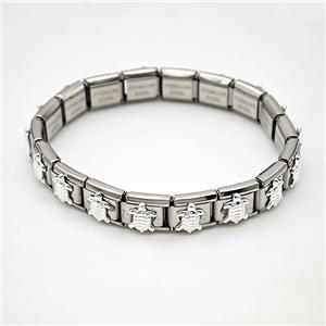 Raw Stainless Steel Module Bracelet Pave Alloy Tortoise, approx 9-10mm, 17cm length