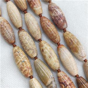 Natural Coral Fossil Rice Beads Orange, approx 15-38mm