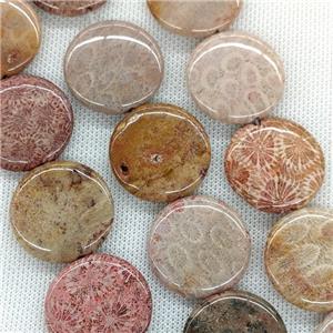 Natural Coral Fossil Beads Coin Flat Round, approx 30mm