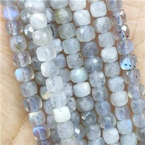 Labradorite Beads, faceted cube, approx 4.5mm