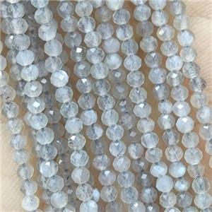 Labradorite Seed Beads Faceted Round, approx 4mm dia