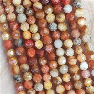 Orange Coral Fossil Beads Tiny Faceted Round, approx 3mm dia