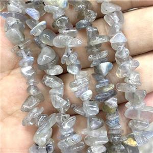 Labradorite Chip Beads, approx 5-8mm, 32inch length