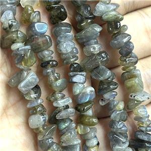 Labradorite Chip Beads Freeform, approx 5-8mm, 32inch length