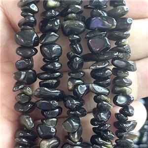 Gold Obsidian Chip Beads Freeform, approx 5-8mm, 32inch length