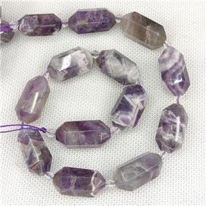 Dogtooth Amethyst Beads Prism, approx 13-27mm, 12pcs per st