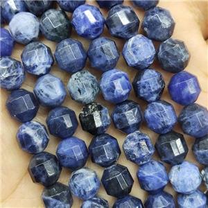 Blue Sodalite Beads Prism, approx 10mm