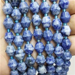 Blue Dalmatian Jasper Beads Bicone, approx 10-11mm