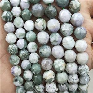 Natural Peace Jasper Beads Green Cut Round, approx 9-10mm