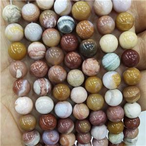 Natural Wood Petrified Jasper Beads Multicolor Smooth Round, approx 8mm dia