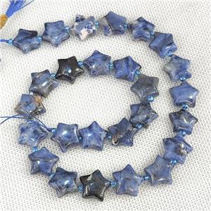 Natural Blue Sodalite Star Beads, approx 15mm