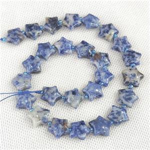 Natural Blue Dalmatian Jasper Beads Star, approx 15mm