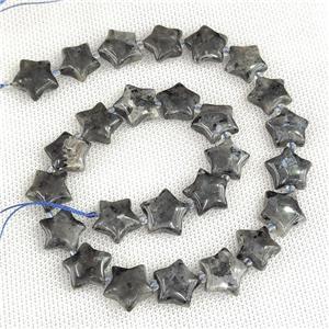 Natural Black Labradorite Star Beads Larvikite, approx 15mm