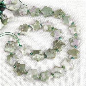 Natural Green Peace Jasper Beads Star Lucky, approx 15mm