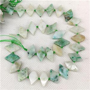 Natural Green Kiwi Jasper Beads Rhombus, approx 10-18mm