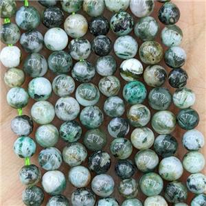 Natural Tree Agate Beads Green Smooth Round, approx 4mm