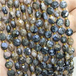 Natural Llanite Beads Faceted Coin, approx 6mm