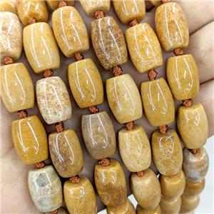 Natural Coral Fossil Barrel Beads Yellow, approx 12-16mm