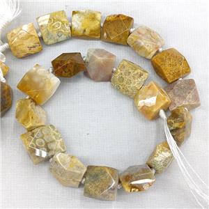 Natural Coral Fossil Square Beads Faceted Yellow, approx 18x18mm