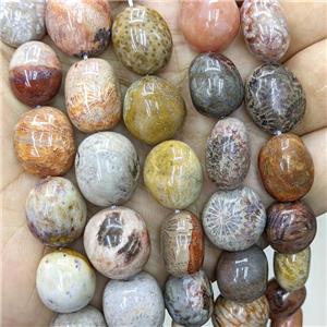 Natural Coral Fossil Nugget Beads Freeform Multicolor, approx 12-15mm