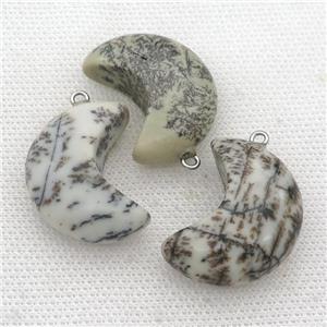 Chohua Jasper moon pendant, approx 14-30mm